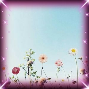 Meet your Posher, Anabel